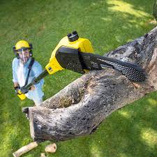 Best Organic Lawn Care Solutions  in Chickasha, OK